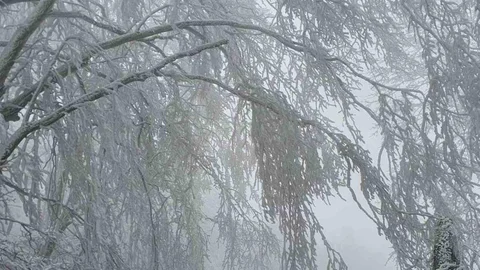 Kırklareli Yüksek Kesimlerinde Kar Yağışı Etkili Oldu