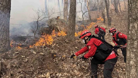 Güney Kore'de Orman Yangını Devam Ediyor