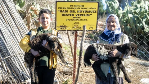 Mersin'de Küçükbaş Hayvan Desteği