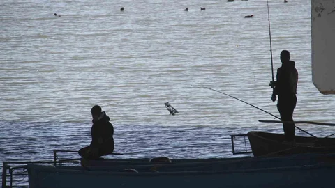 Beyşehir Gölü'nde Balık Avı Başladı