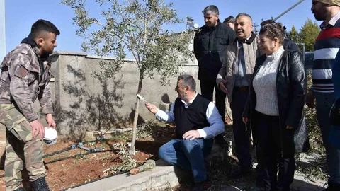 Gaziantep'te Budama Eğitimi Veriliyor