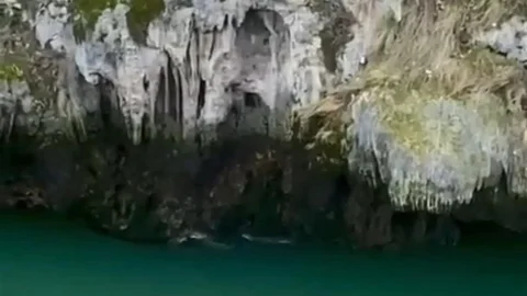 Karakoçan’da Su Samurları Görüntülendi