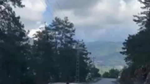 Alanya'da Ehliyetsiz Sürücüye Ceza Kesildi