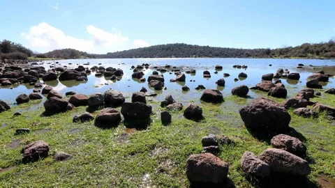 Tepegöl Yeniden Su Tutmaya Başladı