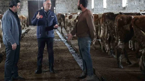 Kars'ta Büyükbaş İşletmesine Ziyaret Gerçekleşti