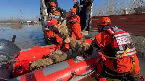 Edirne'de Su Baskını Felaketi