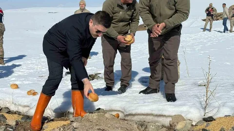 Özalp'ta Doğaya Yem Bırakıldı