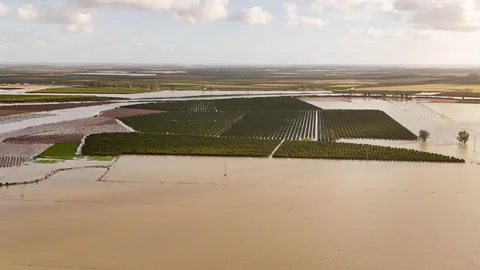 Tarsus’ta Sel ve Fırtına Zararları Tespit Ediliyor