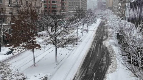 ABD'de Kar Fırtınası Etkili Oldu