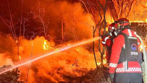 Miryang'da Orman Yangını Kontrol Altına Alındı