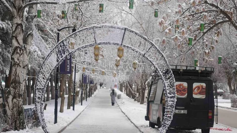 Erzurum’da Ağaçlar Kırağıyla Kaplandı