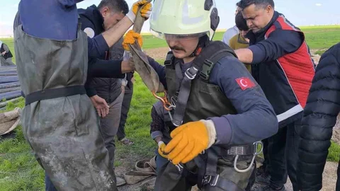 Kuyuya Düşen İnek Kurtarıldı