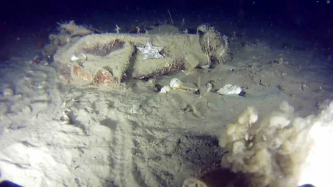 Marmara Denizi’nde THY Uçağına Ait İzler Bulundu