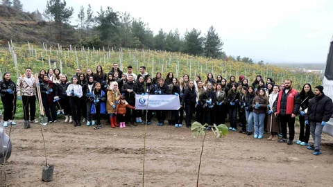 SUBÜ Öğrencileri Fidan Dikimi Yaptı
