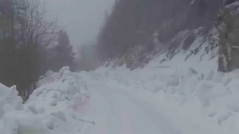 Bolu Yedigöller Milli Parkı'nda Kar Yağışı