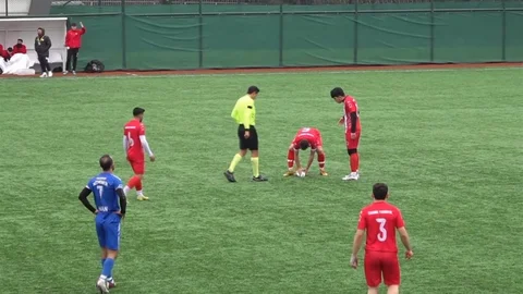 İstanbul'da Martı Kurtarma Mücadelesi