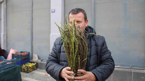 Aydın'da Kedirgen ve Sarmaşık Satışları Başladı