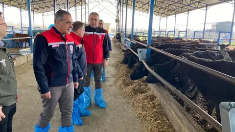 Devlet Desteğiyle İşletmeler Büyüyor