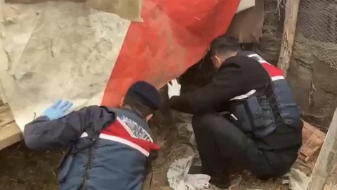 Jandarma Uyuşturucuyu Kümesten Ele Geçirdi