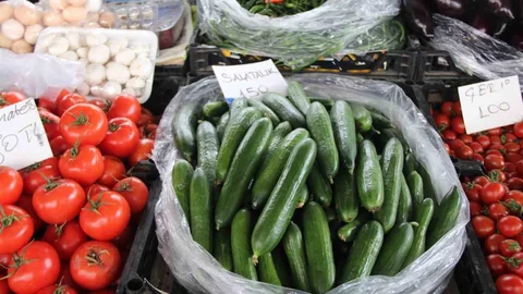 Muğla’da Salatalık Fiyatları Yükseldi