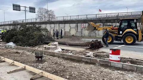 Rize'de Fırtına Sonrası Ağaç Devrildi