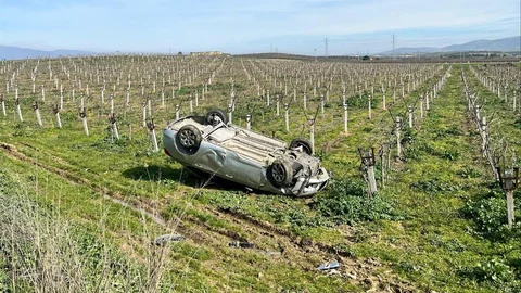 Manisa'da Takla Atan Araç Üzüm Bağına Uçtu