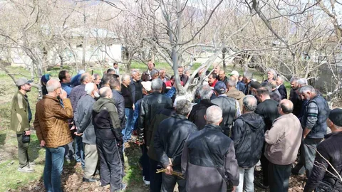 Erzincan'da Budama Eğitimi Düzenleniyor
