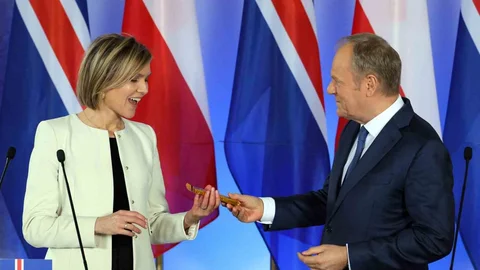 İzlanda AB Üyeliği İçin Referanduma Gidiyor