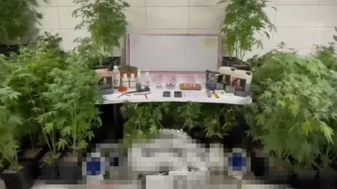 Bursa'da Uyuşturucu Operasyonu Yapıldı