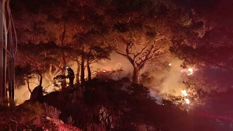 Bodrum'da Orman Yangını Kontrol Altına Alındı