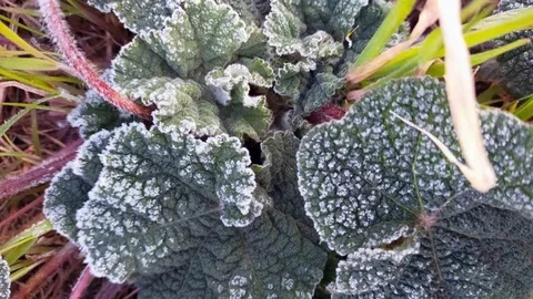 Muğla'da Soğuk Hava Etkili Olacak