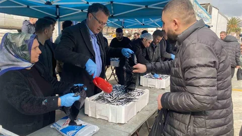 Manisa'da 8 Ton Hamsi Dağıtıldı