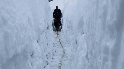 Tunceli'de Yoğun Kar Yağışı Etkili Oldu