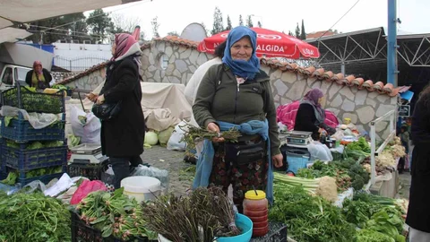 Menteşe'de Tilkişen Sezonu Açıldı