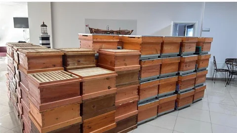 Arıcılık Kursiyerlerine Destek Verildi