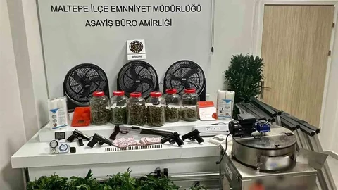 Maltepe'de Uyuşturucu Serası Bulundu