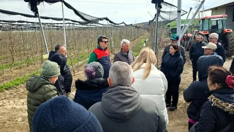 Lüleburgaz’da Üreticilere Budama Eğitimi Verildi