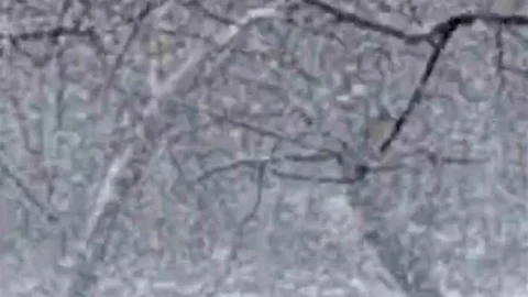 Mudurnu'da Yoğun Kar Yağışı