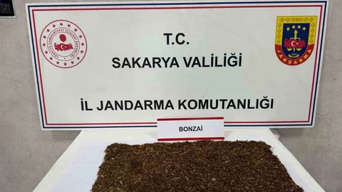 Sakarya'da Uyuşturucu Operasyonu Gerçekleşti