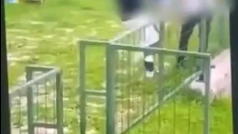 Bodrum'da Akran Zorbalığı Olayı