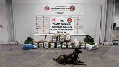 Ağrı’da Sınır Kapısında Esrar Ele Geçirildi