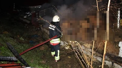 Ordu'da Ahır Yangını: 27 Hayvan Telef Oldu