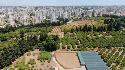 Türkiye Tarım Alanlarını Kaybediyor