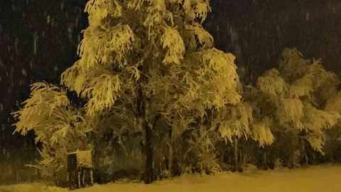Adilcevaz’da Kar Yağışı Görsel Şölen Yarattı
