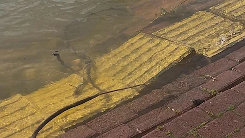 Yaren Leylek'in Köyü Göl Sularından Etkilendi