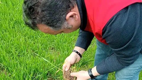 Lüleburgaz'da Tarımsal Kontroller Yapıldı