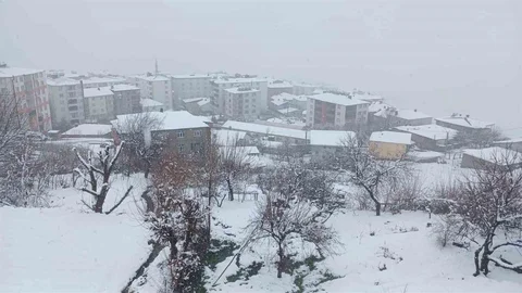 Kulp'ta Kar Yağışı Etkili Oldu