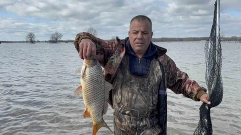 Meriç Taşınca Tarlada Sazan Yakalandı