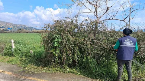 Efeler'de Temizlik Çalışmaları Devam Ediyor