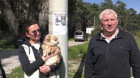 Rus Aileler Kaybolan Köpeklerini Arıyor